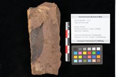 Foto (Objekt + Etikett) von Fagus feroniae Unger (NHMW-GEO-2024-0188-0984)